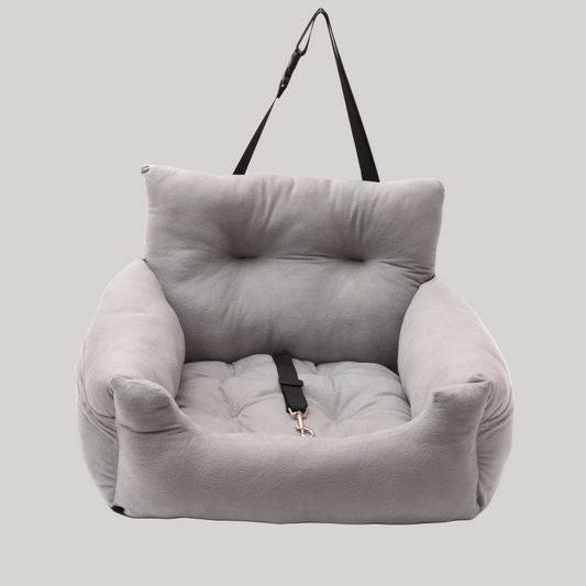 The Cruiser Car Seat