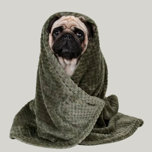 The Snuggle Blanket