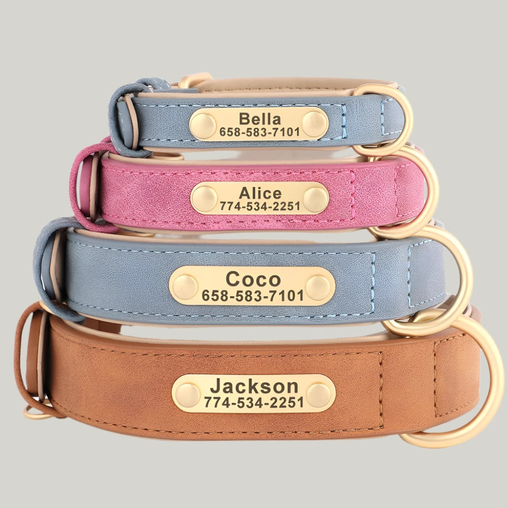 The Coastal Companion Set