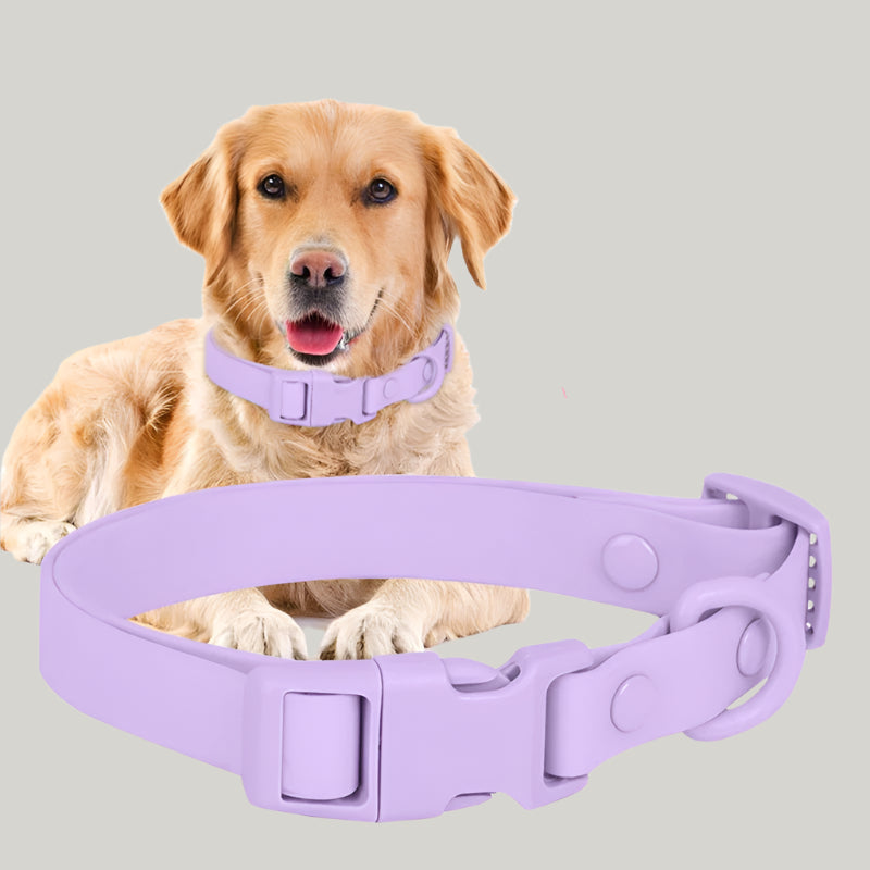 The Puddle Club Collar